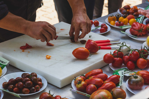 Schneidebrett Tomaten