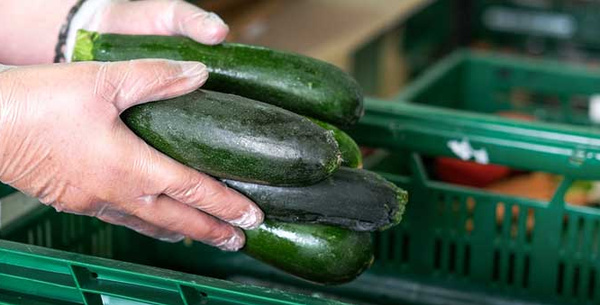 KI generiert: Hand hält Gurke in Gemüseabteilung.