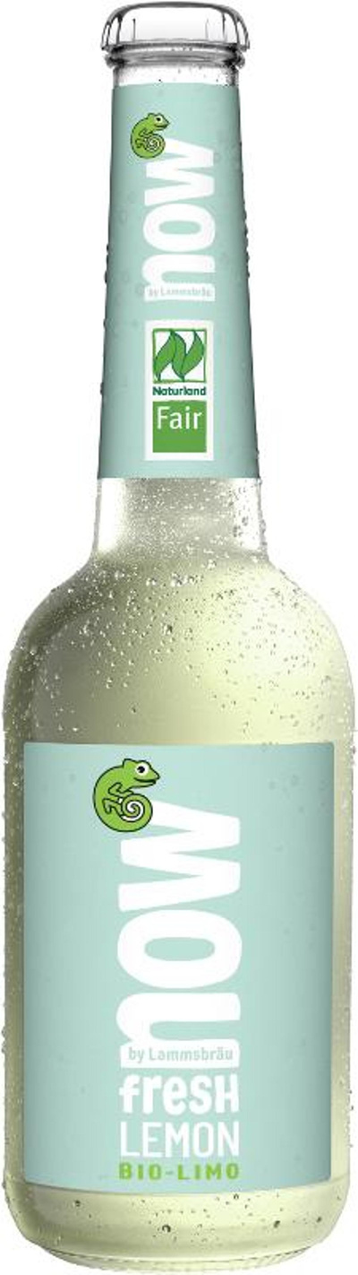 Produktfoto zu now Fresh Lemon 10x0,33l
