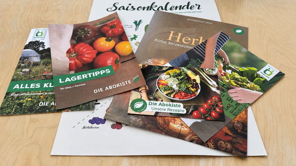 KI generiert: Das Bild zeigt eine Herbstausgabe des Saisonkalenders der Ökokiste mit Rezepten und Lagerungstipps.
