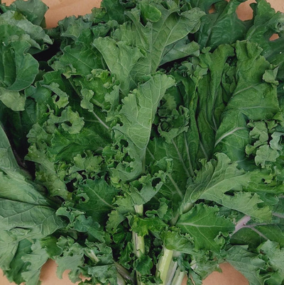 Produktfoto zu Butterkohl im Bund 500g