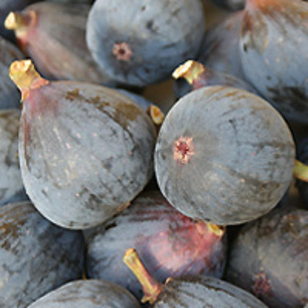 Produktfoto zu Feigen frisch