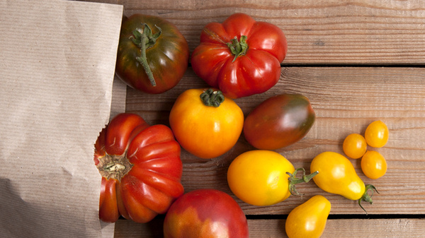 KI generiert: Verschiedene bunte Tomaten auf einem Holztisch, einige liegen in einer Papiertüte.