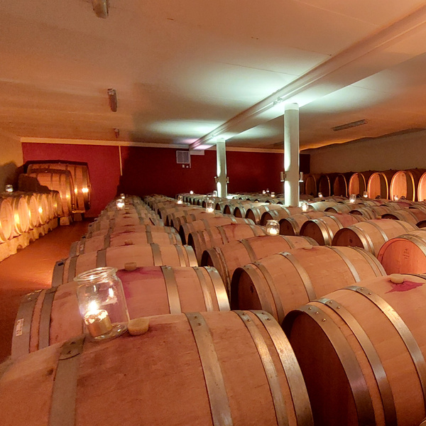 Besuch beim Weingut Raddeck