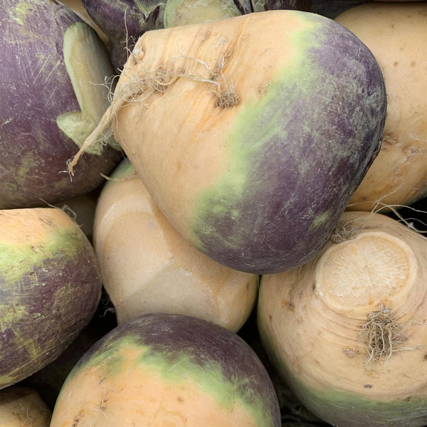Produktfoto zu Steckrüben