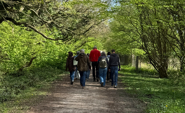 KI generiert: Eine Gruppe von Menschen geht auf einem Waldweg spazieren.
