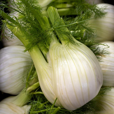 Produktfoto zu Fenchel