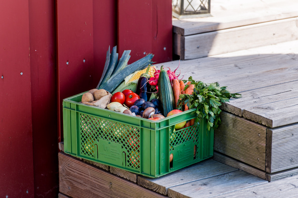Abokisten gefüllt mit Obst und Gemüse