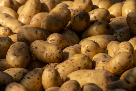 Kartoffeln