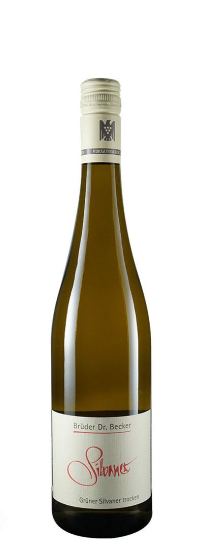 Produktfoto zu Grüner Silvaner VDP Gutswein 2024 Brüder Dr. Becker 6x0,75l