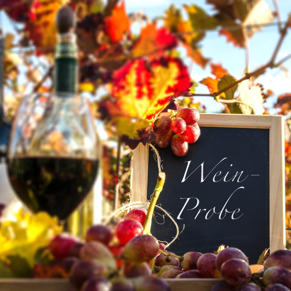 Produktfoto zu Weinprobe mit Bio-Winzer Stefan Raddeck am 26.11.