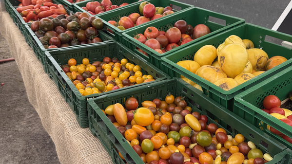 KI generiert: Frisches Obst in Holzkisten: Äpfel, Birnen, Orangen und Zitronen.