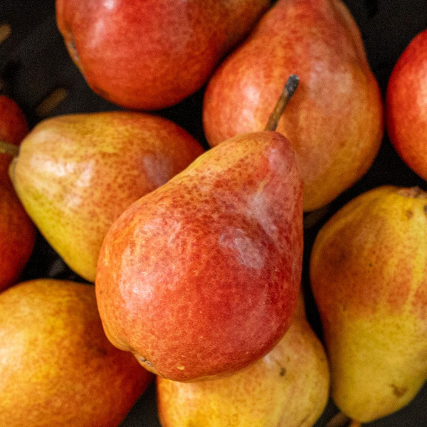 Produktfoto zu Birne Red Bartlett
