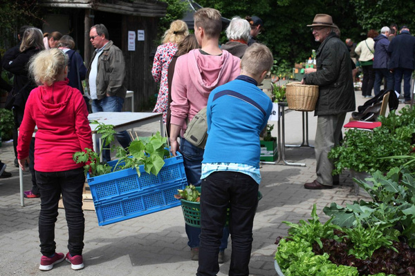 Kund:innen tragen Pflanzen 