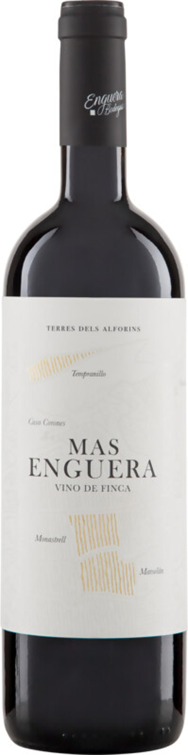 Produktfoto zu Mas Enguera Tinto Valencia 2022 6x0,75l