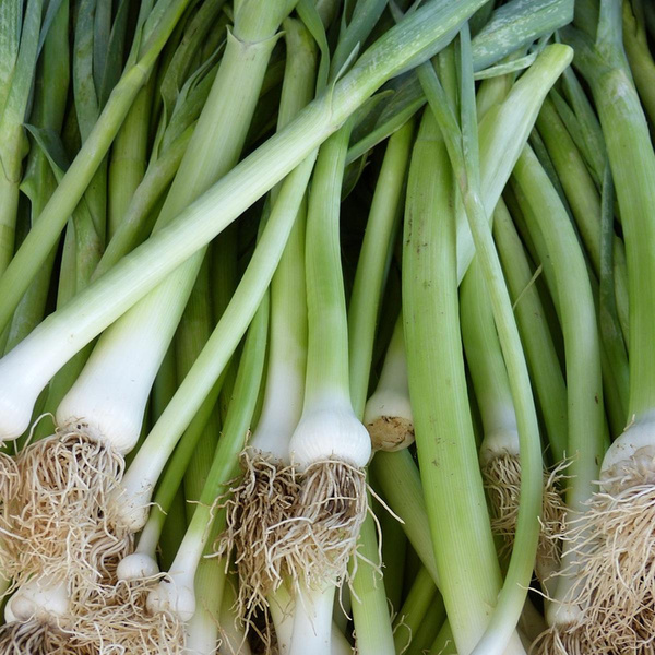 Produktfoto zu Lauchzwiebeln