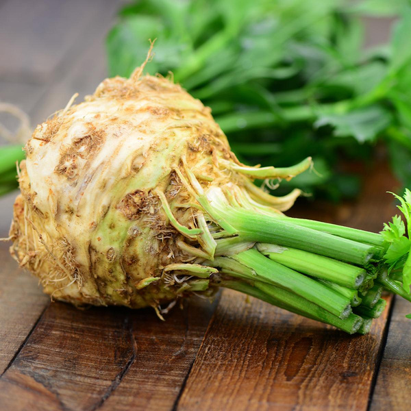 Produktfoto zu Knollensellerie STÜCK 600g+