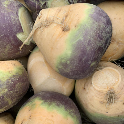 Produktfoto zu Steckrüben