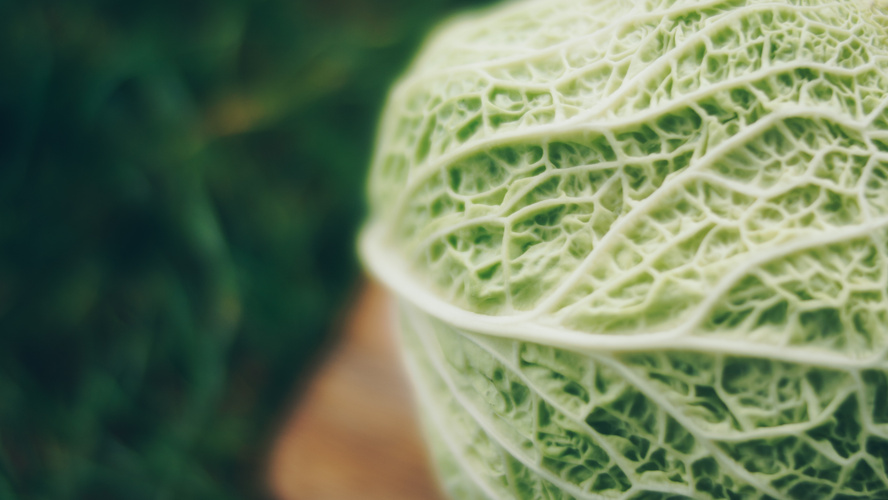 Rezeptbild für Chinakohl-Tomaten-Pizza