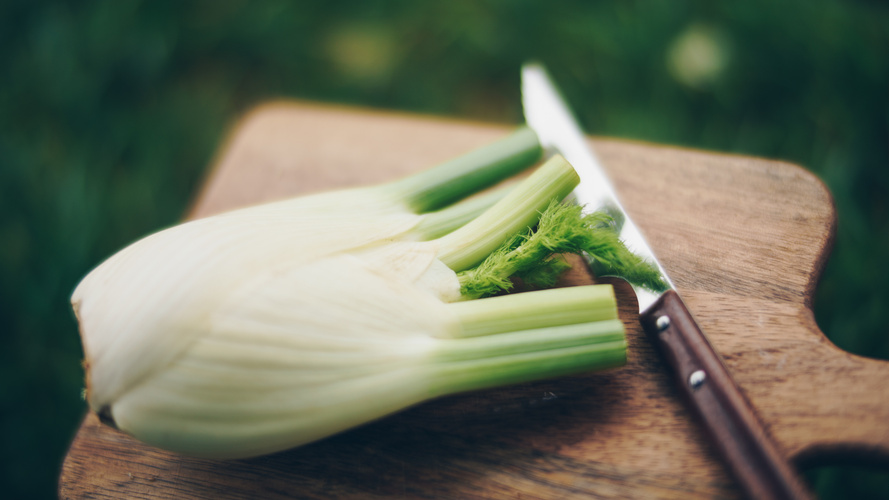 Rezeptbild für Fenchelauflauf