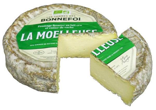 Produktfoto zu Tomme fermière La Moelleuse 53% Fett