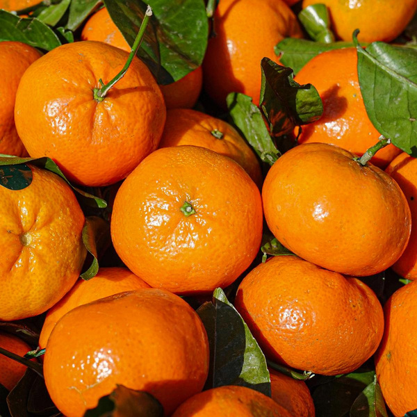 Produktfoto zu Clementinen mit Blatt