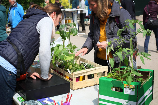 Kund:innen kaufen Jungpflanzen
