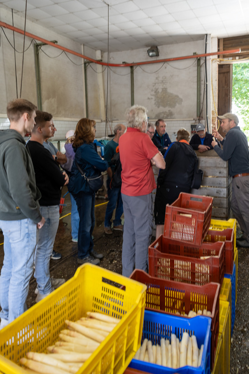 KI generiert: Personengruppe bei einer Führung in einer Lagerhalle mit Spargelkisten.
