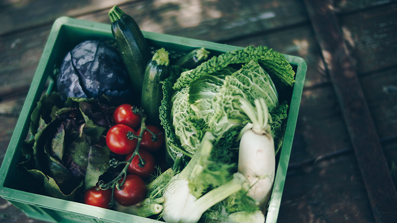Rezeptbild für Gegrillte Aubergine mit Tomatensugo