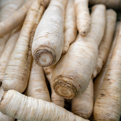 Produktfoto zu Wurzelpetersilie