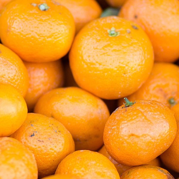 Produktfoto zu KITA Mandarinen