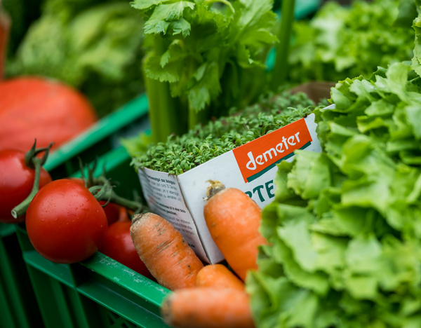 KI generiert: Frisches Gemüse in einer Kiste: Tomaten, Karotten, Kresse und Blattsalat. Text: "demeter".
