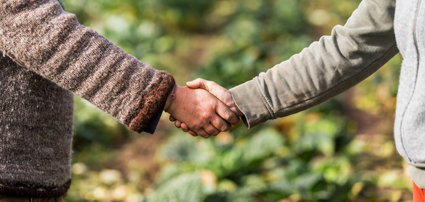 KI generiert: Zwei Personen geben sich die Hand in einem Garten oder Feld.