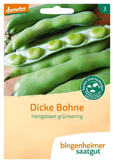 Produktfoto zu Dicke Bohne Hangdown