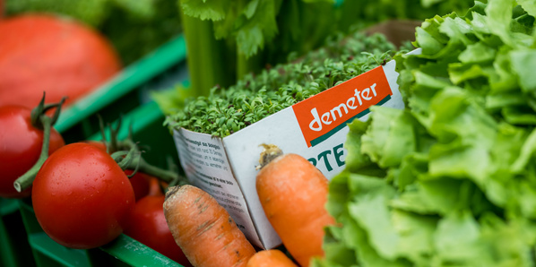KI generiert: Hauptinhalt: Demeter-zertifizierte Äpfel und Tomaten.
