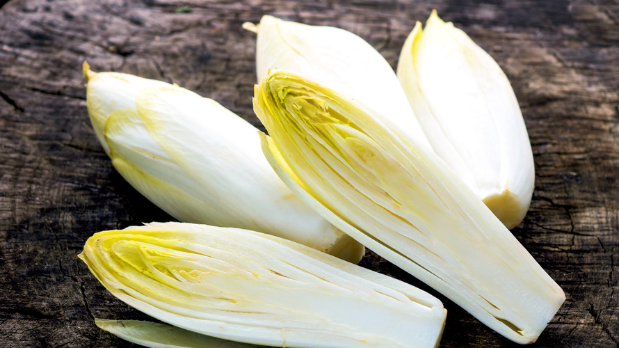 Rezeptbild für Chicorée-Piccata