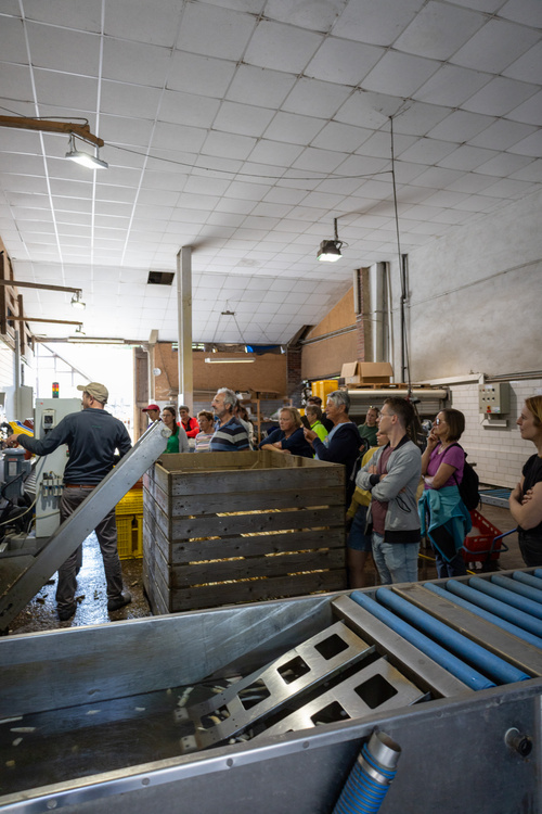 Besuch beim Weingut Raddeck
