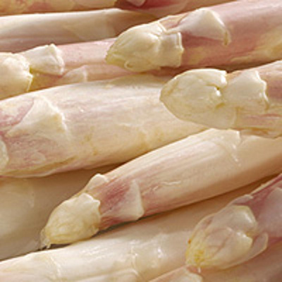 Produktfoto zu Spargel weiss_violett 12+