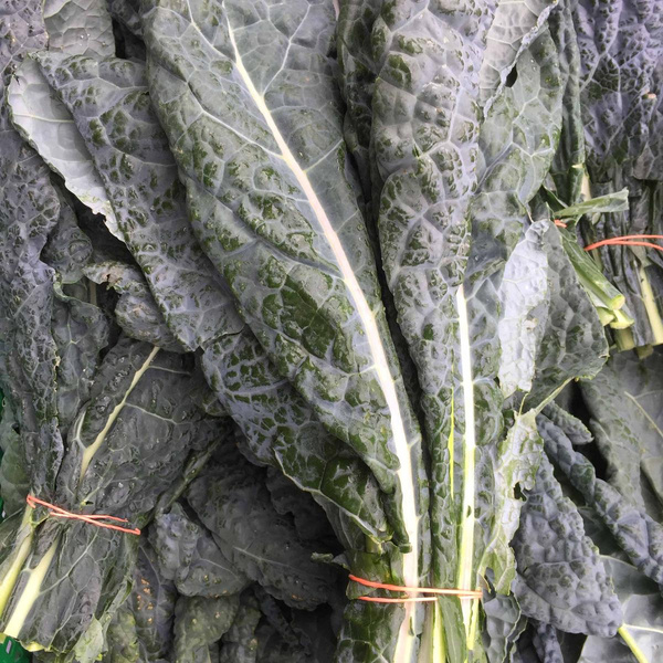 Produktfoto zu Schwarzkohl