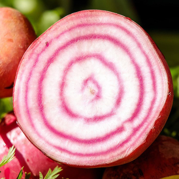 Produktfoto zu Ringelbete