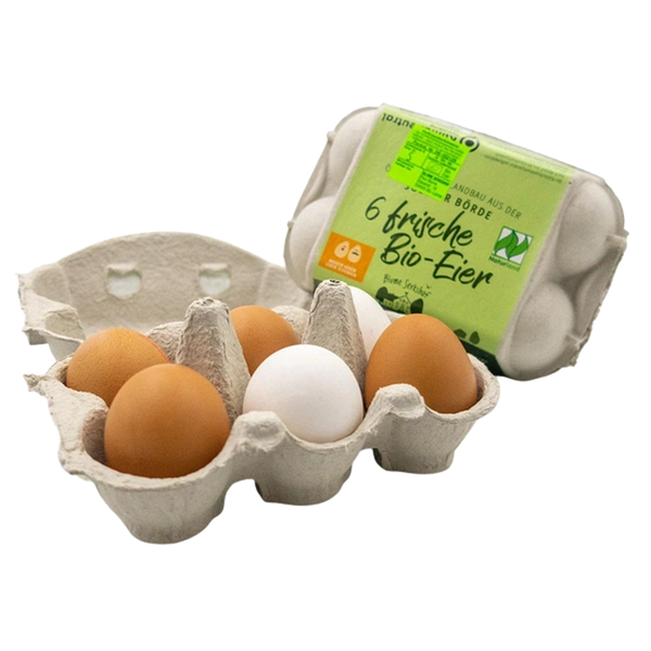 Produktfoto zu Eier, 6 Stück Grösse M