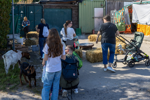 KI generiert: Personen auf einem Hof mit Heuballen, Ziegen und einem Kinderwagen.
