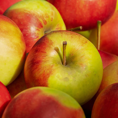 Produktfoto zu Apfel Elstar