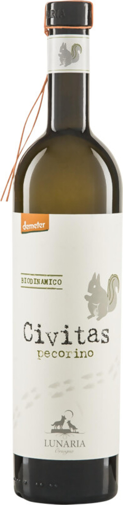 Produktfoto zu CIVITAS Pecorino Terre di Chieti IGP 2024 6x0,75l