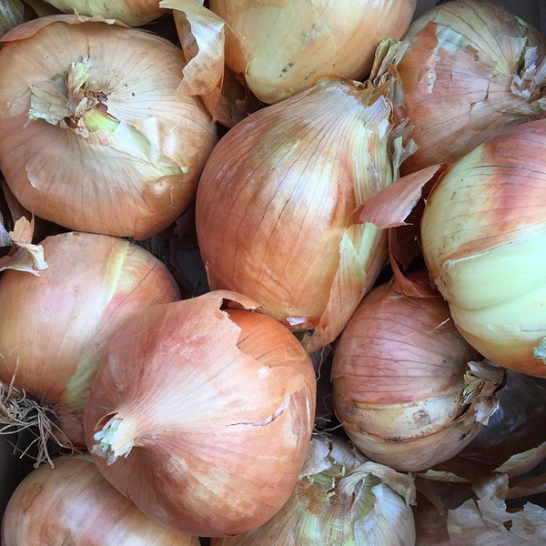 Produktfoto zu Gemüsezwiebeln 5kg