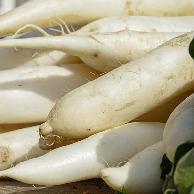 Produktfoto zu Rettich weiß, 500g+, wenig