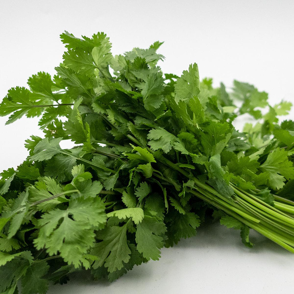 Produktfoto zu Koriander, Bund