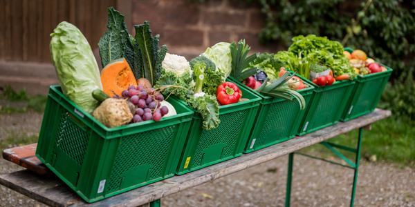 KI generiert: Grüner Korb mit frischem Gemüse und Obst.