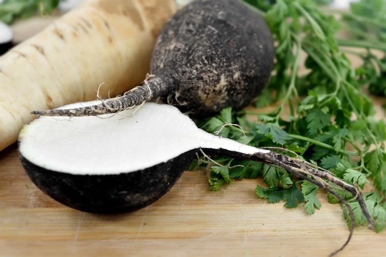 Schwarzer Rettich