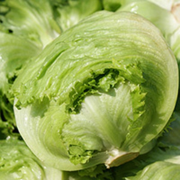 Produktfoto zu Eisbergsalat